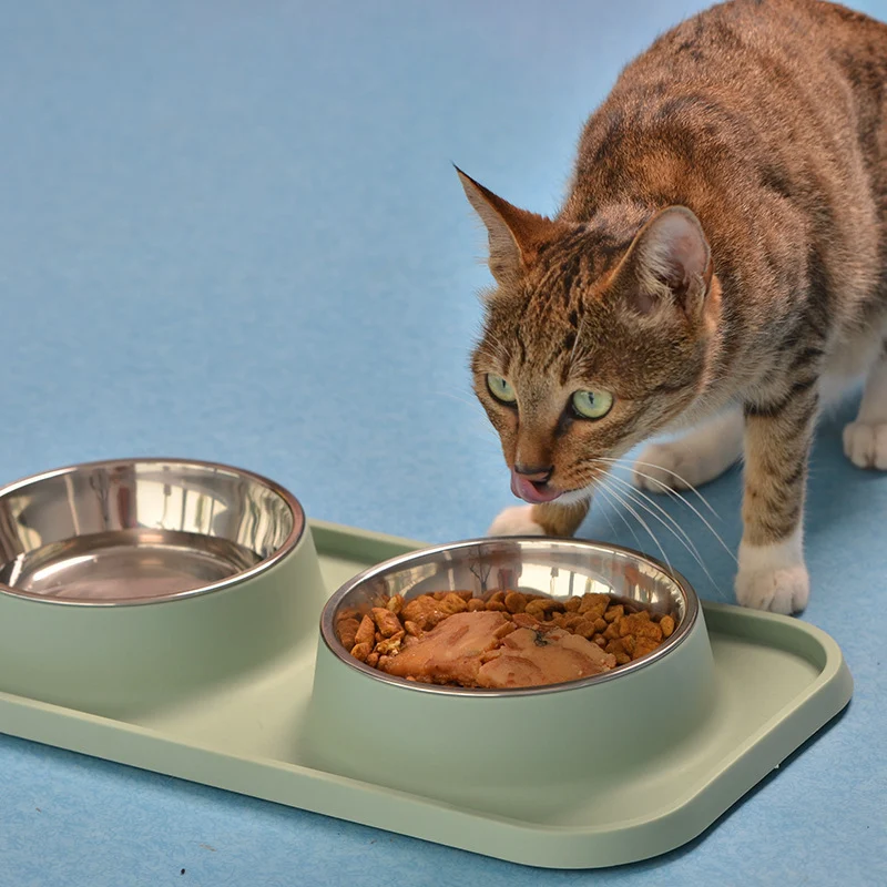 Title 2, Non-Slip Stainless Steel Cat Bowl, Spill-Proof,...