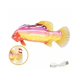 Tropical Fish