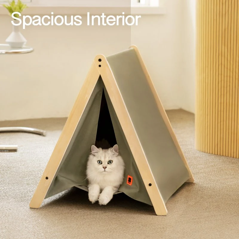 Title 3, Pet Cat Tent Supplies Available Year Round. Pro...