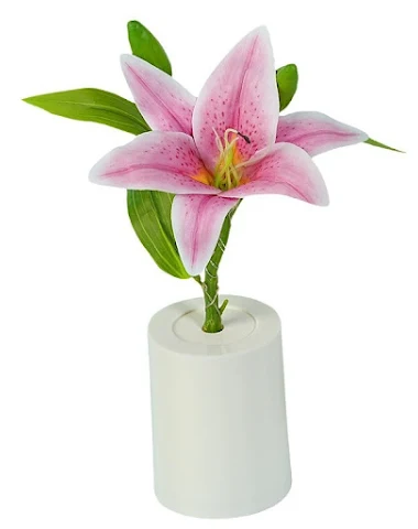 Image product - 0