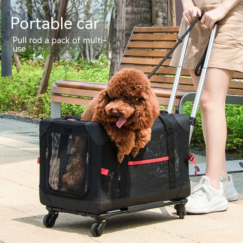product image - 12