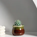 miniatures image - 0