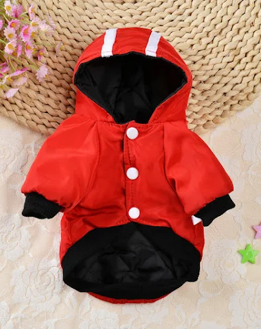 Image product - 3