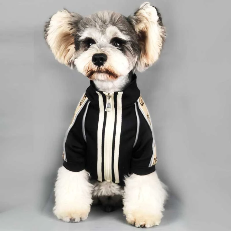 Dog Clothes Spring And Autumn New Sweater Summer Lightweight and Breathable Perfect for Walks and Outdoor Activities Com — photo 2