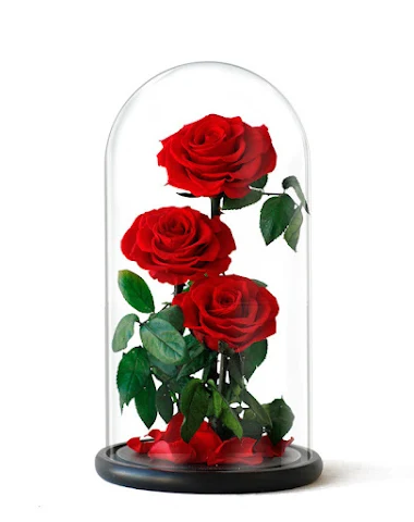 Image product - 1