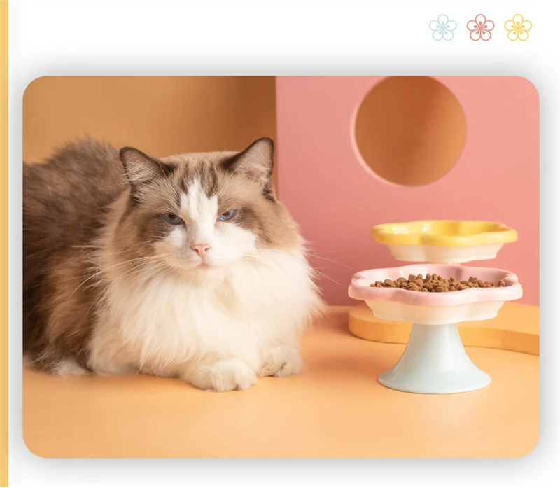 Title 9, Ceramic Cat BowlsExtra Wide Cat Food Bowl Pet F...