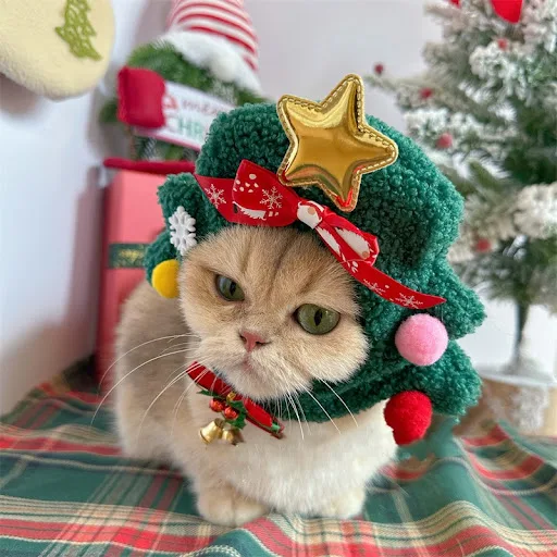 Title 4, Pet Christmas Headgear Cat Dog Festive Holiday ...