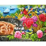 30x40cm