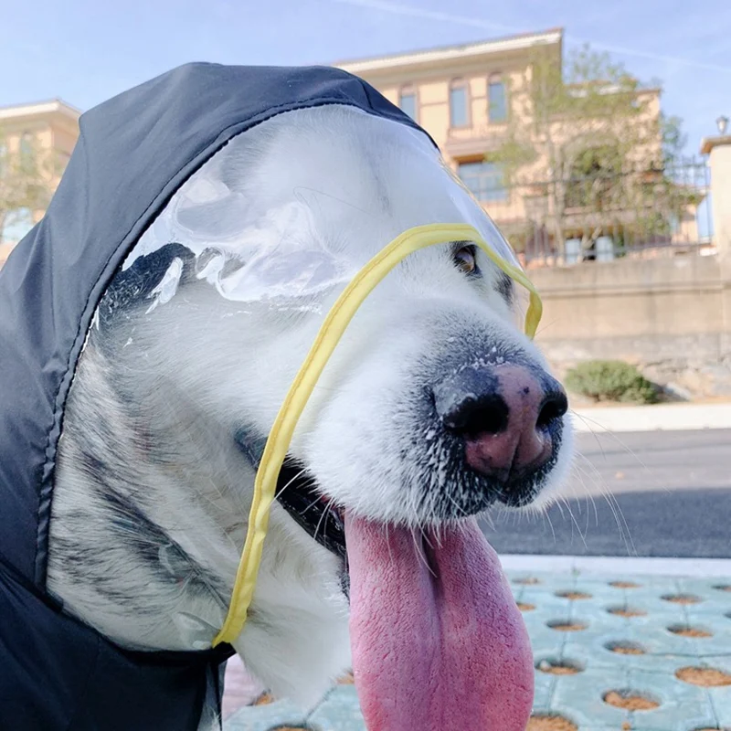 Title 4, Lightweight waterproof pet raincoat Protects ag...