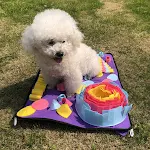 Pet Sniffing Pad Mental stimulation and food seeking Fun and interactive for dogs and cats Reduces stress and anxiety Pr — photo 6