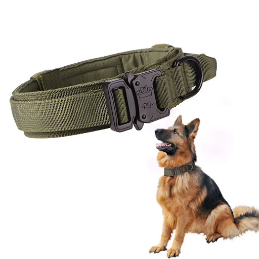 Title 3, Tactical Dog Collar And Leash Set, Adjustable M...