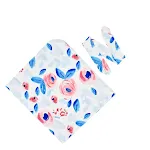 005 Colors