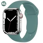424445MM Pine Needle Green 46