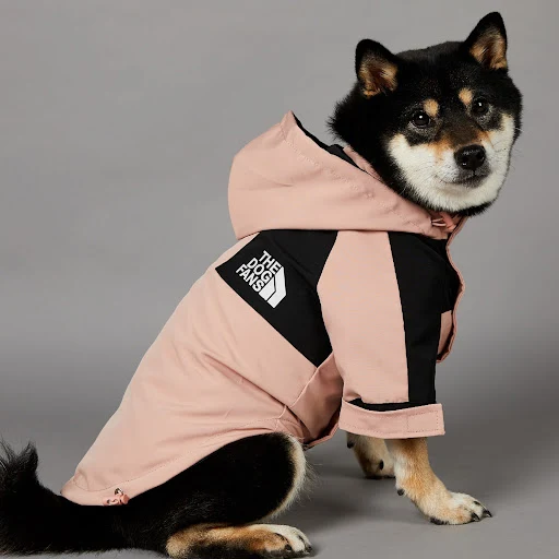 Title 8, Windproof and Rainproof Large Dog Raincoat Pet ...