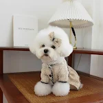 miniatures image - 1