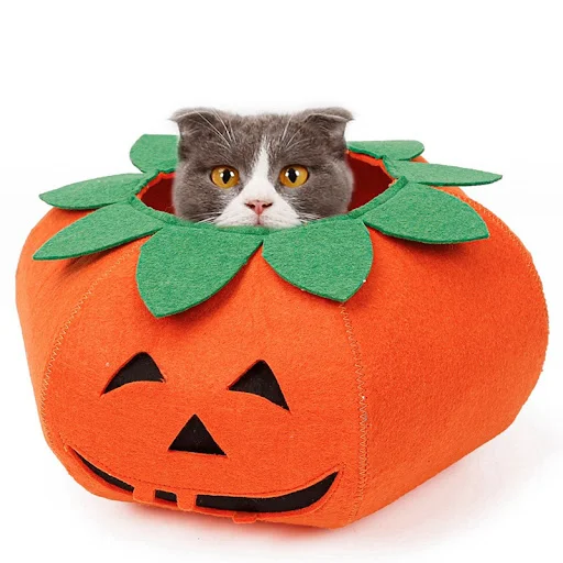 Title 10, Pet Halloween Pumpkin Collars Cute Cosplay Acce...