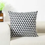 Black triangle