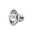 25W Light 220V 1PC