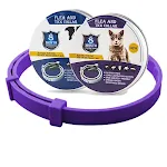 purple box 1pc