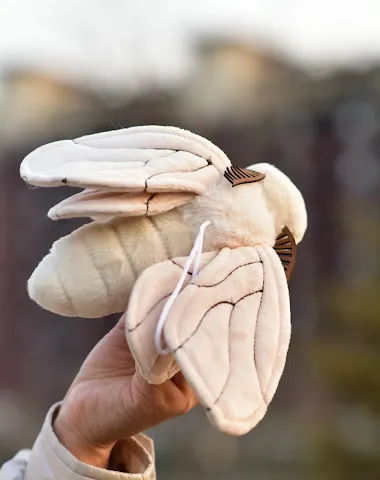 Image product - 3