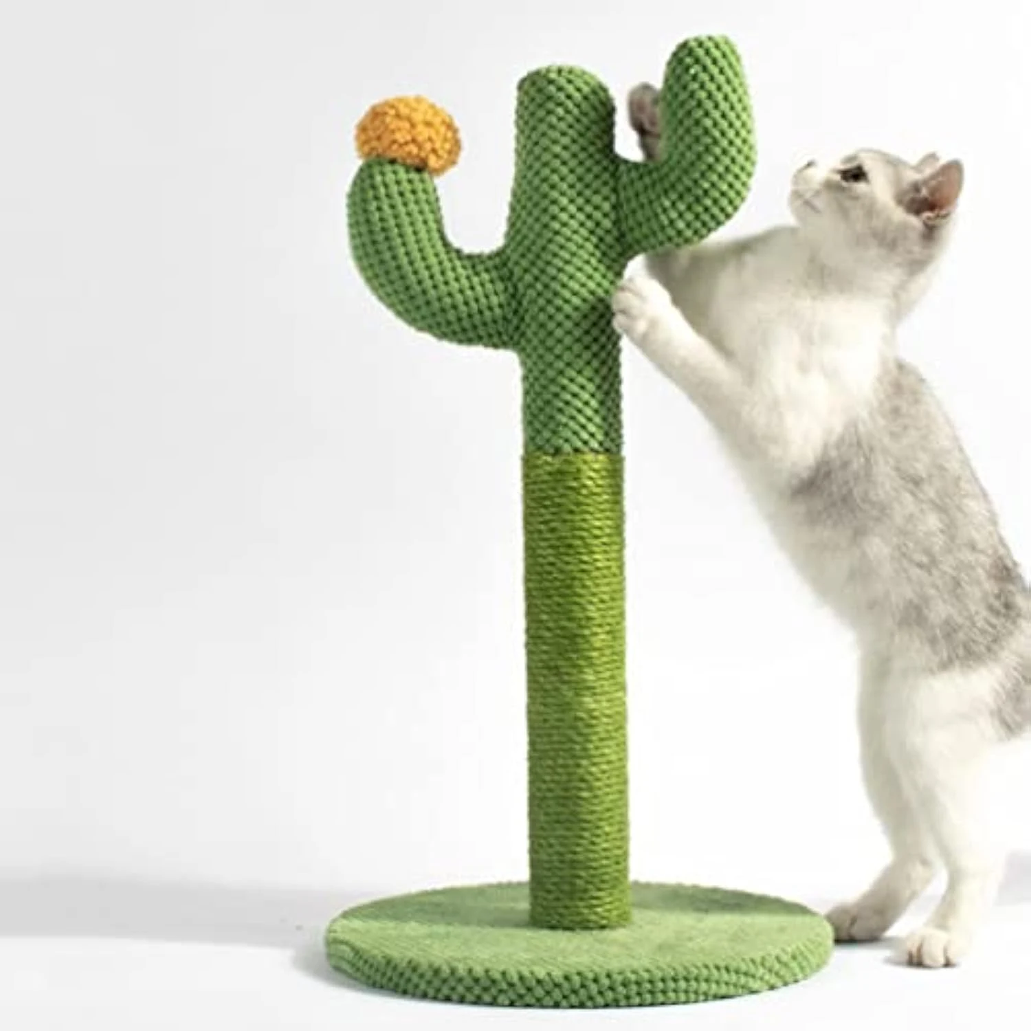 Title 2, Cat Toy Scratching Board Floor Scratching Nail ...