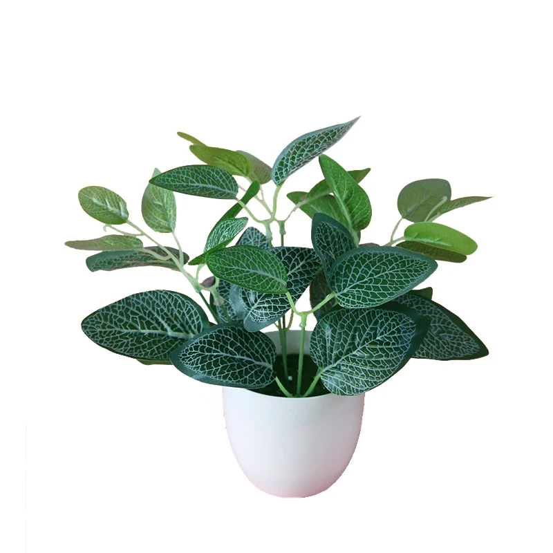 product image - 13
