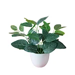 miniatures image - 13