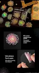 Adesivos decorativos para diário com tema de fogos de artifício românticos. Decore suas páginas e celebre o amor com esses adesivos charmosos. — foto 5