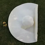 O Milk White