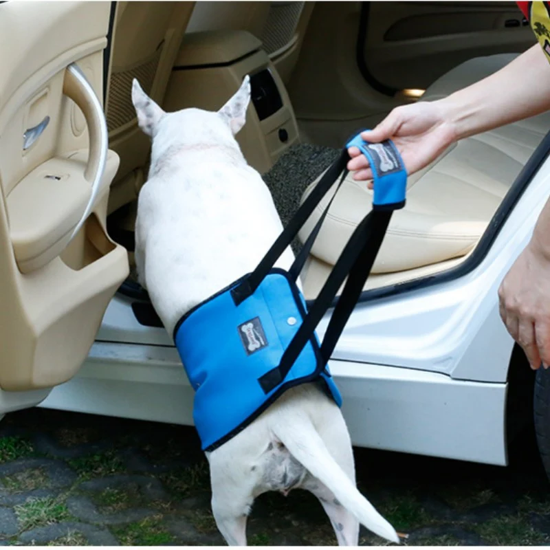 Title 5, Portable Dog Sling For Back Legs Hip Support Ha...
