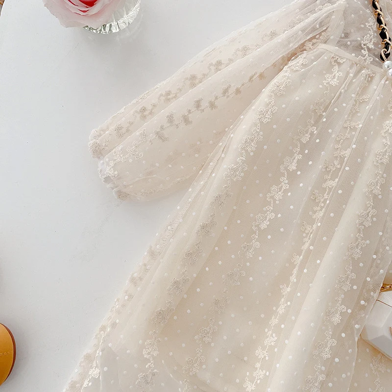 Title 3, Vestido de malla para niña con encaje y manga l...