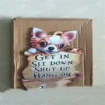Double-sided Pet Dog Car Ornament Decorate your car with this adorable dog ornament and enjoy a fun, cheerful atmosphere — photo 3