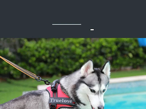Title 2, Chest harness vest-style for medium to large do...