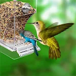 Bird Feeders No Mess Automatic Parrot Feeder Drinker Acrylic Seed Food Container Cage Accessories For Small And Medium P — photo 1