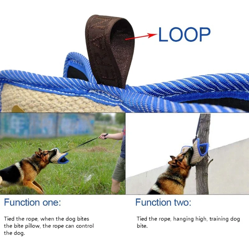Title 9, Stylish and tear-resistant dog training supplie...