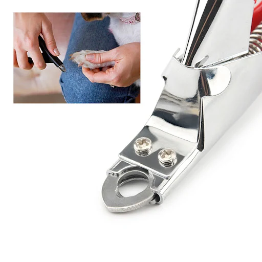 Pet Nail Clipper Dog Nailclippers Stainless Steel Cat Nail Cutter Animal Claws Scissor Cut — photo 5