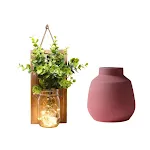 Green plants and D vase