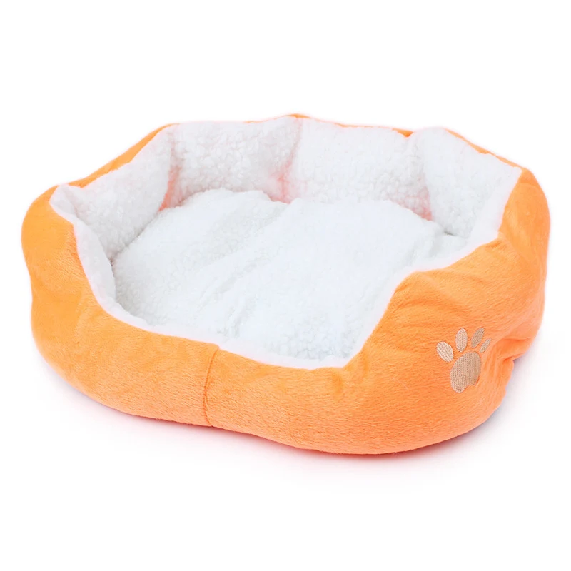 Title 4, Lamb Cashmere Kennel