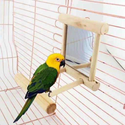 Birds Mirror Wooden Interactive Play Toy With Perch For Small Parrot Budgies Parakeet Cockatiel Conure Lovebird Cage Acc — photo 1