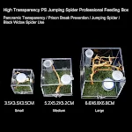 Mini Reptiles Breeding Box Clear Acrylic Cage Habitat Insect Feeding Box Terrarium Tank Escape Proof For Jumping Spider — photo 5