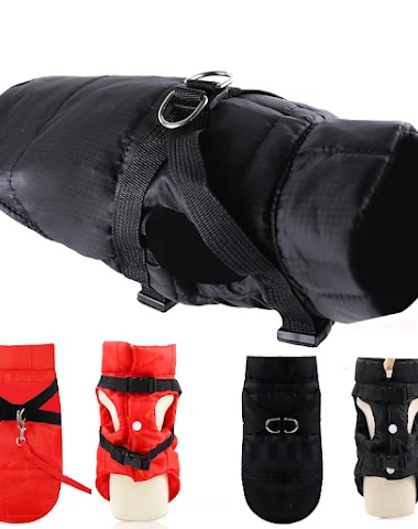 Image product - 3