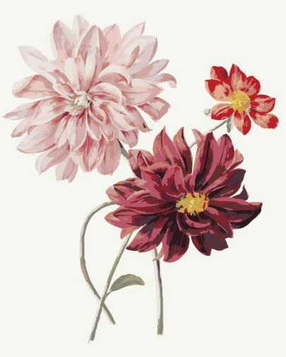 product image - 16
