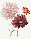 miniatures image - 16