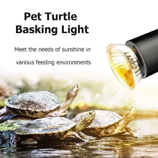 25/50/75W UVA+UVB Reptile Lamp Bulb Turtle Basking UV Light Bulbs Heating Lamp Full Spectrum Sunlamp for Amphibians Liza — photo 4