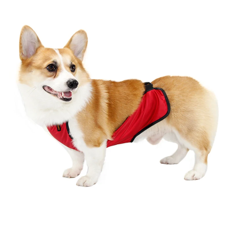 product image - 3