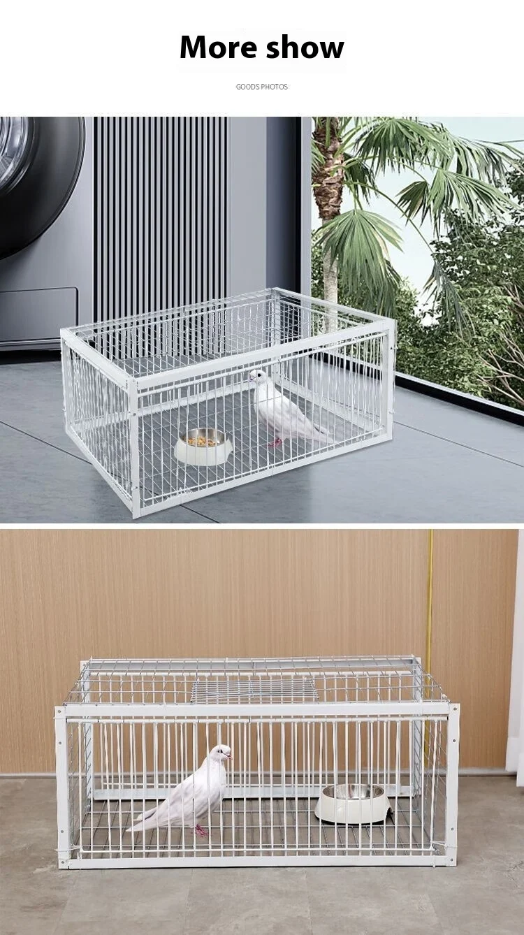 Pigeon Active Network Door Encrypted Return Cage. Secure, efficient pigeon return with active network and encryption, en — photo 9