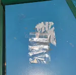 Squirrel Parts