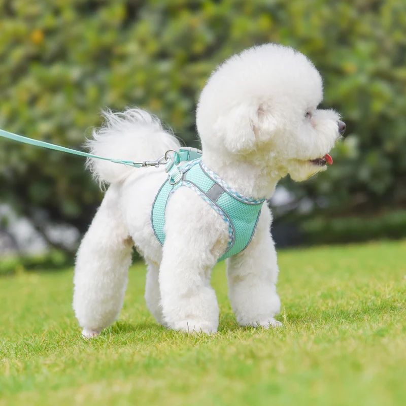product image - 32