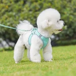 miniatures image - 32