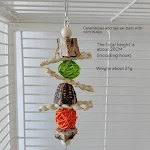 miniatures image - 9